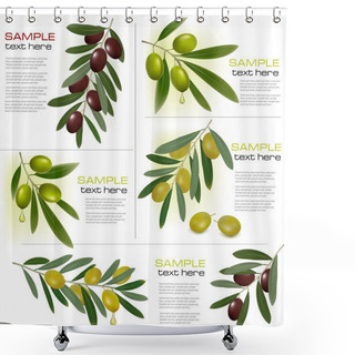 Personality  Set Of Backgrounds With Green And Black Olives. Vector Illustration Shower Curtains
