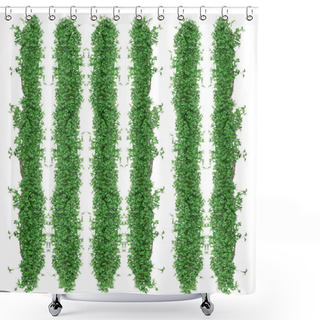Personality  Nice Green Ivy Isolated On White Background Shower Curtains