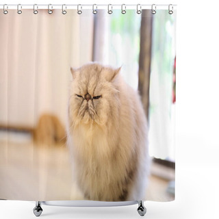Personality  Persian Cat Shower Curtains
