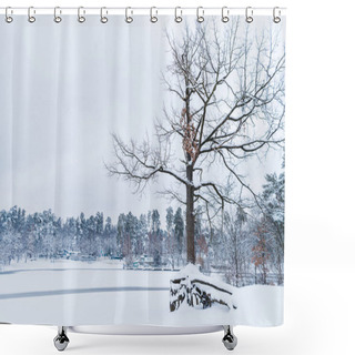 Personality  Dry Tree, Frozen Lake And Snow Covered Trees In Winter Park Shower Curtains