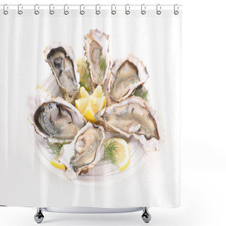 Personality  Fresh Oyster On White Shower Curtains