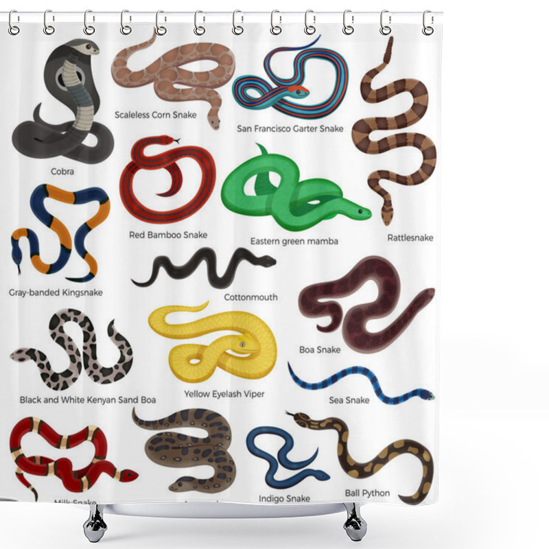 Personality  Poisonous Snakes Cartoon Set Shower Curtains