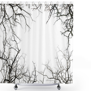 Personality  Leafless Tree Branches Shower Curtains