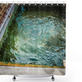 Personality  Trout Fishing On The Lake Shower Curtains