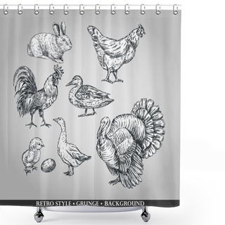 Personality  Set Of Domestic Animals Cock, Hen, Turkey, Rabbit, Duck, Goose. Vector Illustration Shower Curtains