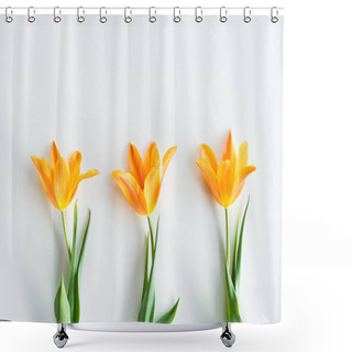 Personality  Yellow Tulips In Row Shower Curtains