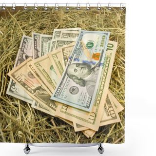 Personality  Image Of Dollars Money On Hay Closeup Shower Curtains