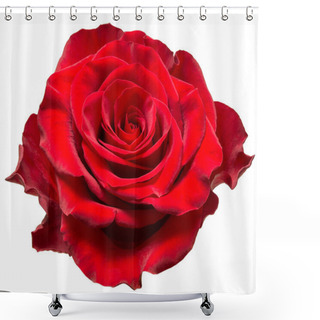 Personality  Rose Flower Shower Curtains
