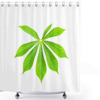Personality  Close-up Single Cassava Or Manihot Esculenta Leaf Isolated On White Shower Curtains