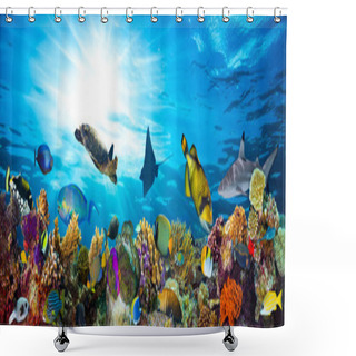 Personality  Colorful Coral Reef With Many Fishes Shower Curtains