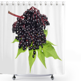 Personality  Elderberry Fruits Shower Curtains