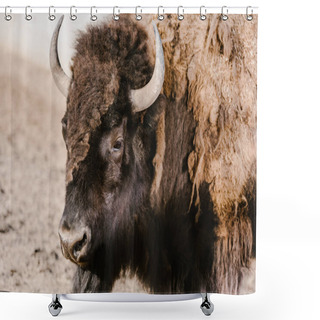 Personality  Close Up View Of Wild Bison At Zoo Shower Curtains