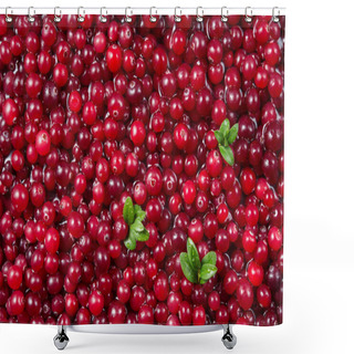 Personality  Cranberry. Fresh Ripe Red Berry With Leaves. Food Background.  Shower Curtains