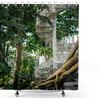 Personality  Trees With Green Leaves And Spiral Staircase In Botanical Garden Of Copenhagen, Denmark Shower Curtains
