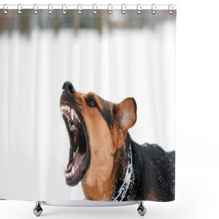 Personality  Angry Dog With Bared Teeth Shower Curtains
