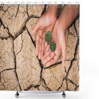 Personality  Hands Of Boy Save Little Green Plant On Cracked Dry Ground, Concept Drought And Crisis Environment Shower Curtains