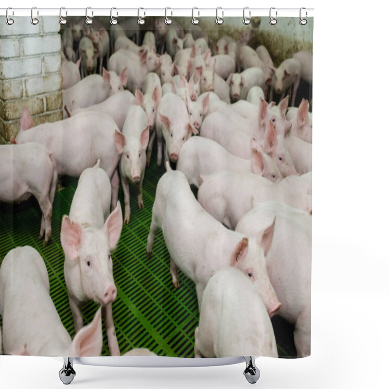 Personality  Pig Farm. Little Piglets Shower Curtains