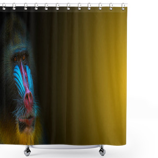 Personality  Banner With Portrait Of African Colorful Mandrill At Black And Y Shower Curtains