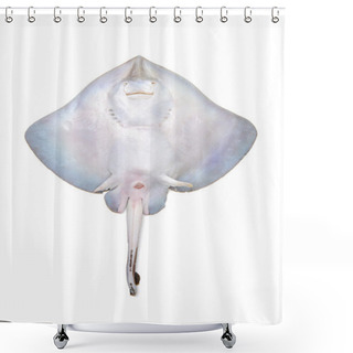Personality  Fresh Ray Fish Isolated On  Shower Curtains