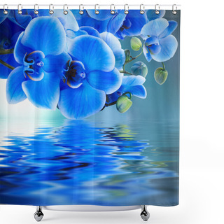 Personality  Blue Orchid Background With Reflection In Water Shower Curtains