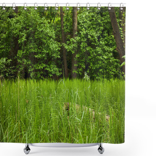 Personality  Landscape With Green Grass On Forest Background Shower Curtains