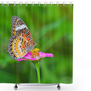 Personality  Closeup Butterfly On Flower Shower Curtains