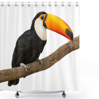 Personality  Toucan Shower Curtains