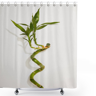 Personality  Top View Of Green Bamboo Stem With Leaves On White Background Shower Curtains