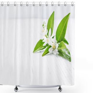 Personality  Neroli (Citrus Aurantium) Blossoms  Flowers  Shower Curtains