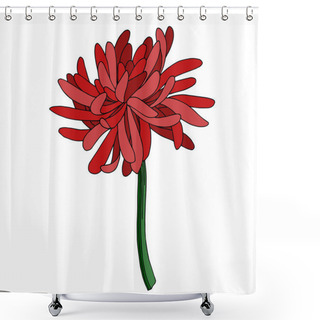 Personality  Vector Chrysanthemum Botanical Flower. Black And White Engraved Ink Art. Isolated Chrysanthemum Illustration Element. Shower Curtains