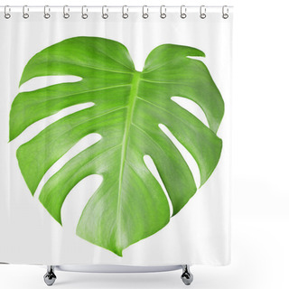 Personality  Big Green Leaf Of Monstera Plant With Water Drops Isolated On White Shower Curtains