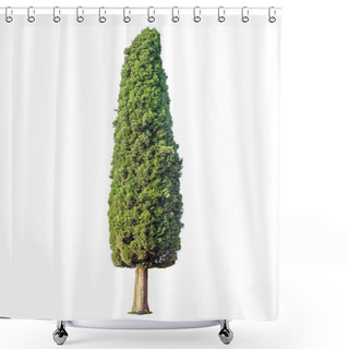 Personality  Cypress Isolated On White Background Shower Curtains