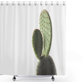 Personality  Close-up View Of Beautiful Green Cactus Isolated On White  Shower Curtains