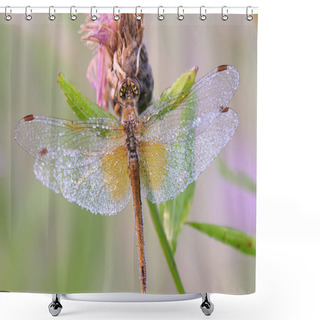 Personality  Dragonfly In The Dew Shower Curtains