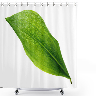 Personality  Leaf With Drops Shower Curtains