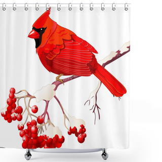 Personality  Red Cardinal Bird Shower Curtains