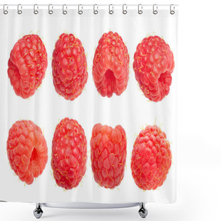 Personality  Raspberry R. Idaeus Fruits, Paths Shower Curtains