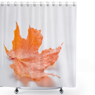 Personality  Selective Focus Of One Orange Maple Leaf With Water Drops On White, Autumn Background Shower Curtains