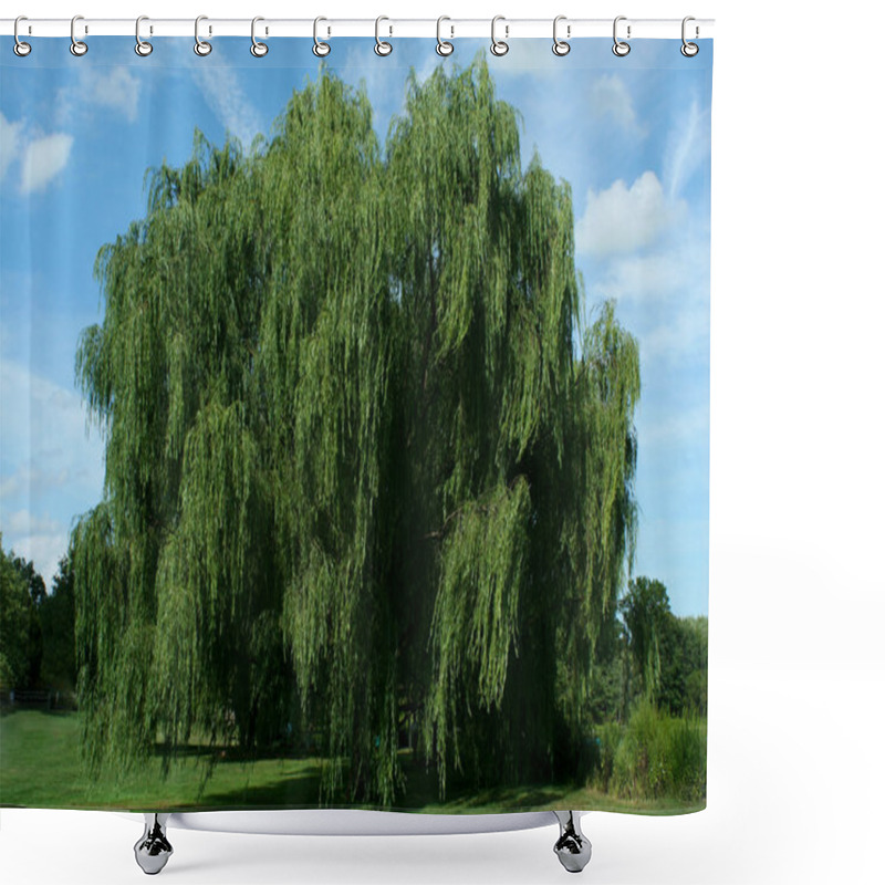 Personality  Weeping Willow Tree With Blue Sky Shower Curtains