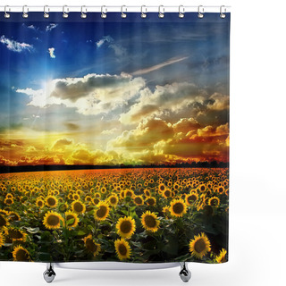 Personality  Field Of Sunflower Against The Sky Shower Curtains