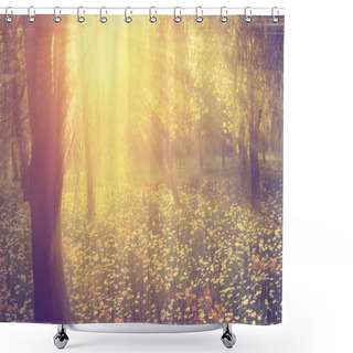 Personality  Vintage Photo Of Wild Flower Field In Sunset Shower Curtains