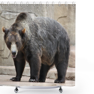 Personality  Big Black Bear Shower Curtains