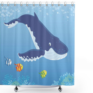 Personality  Hump-backed Whale Swimming In Blue Water Near A Reef, Vector Illustration Shower Curtains
