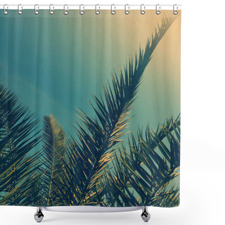 Personality  Palm Tree Leaves And The Sky, Summertime Travel Background Shower Curtains