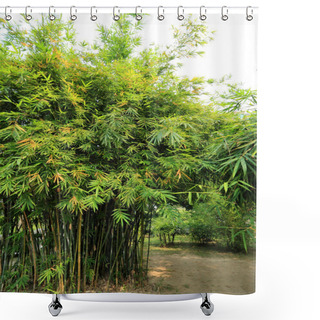 Personality  Bamboo Shower Curtains