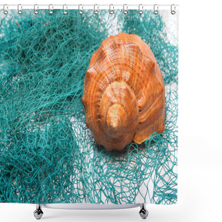 Personality  Conch Shell Shower Curtains