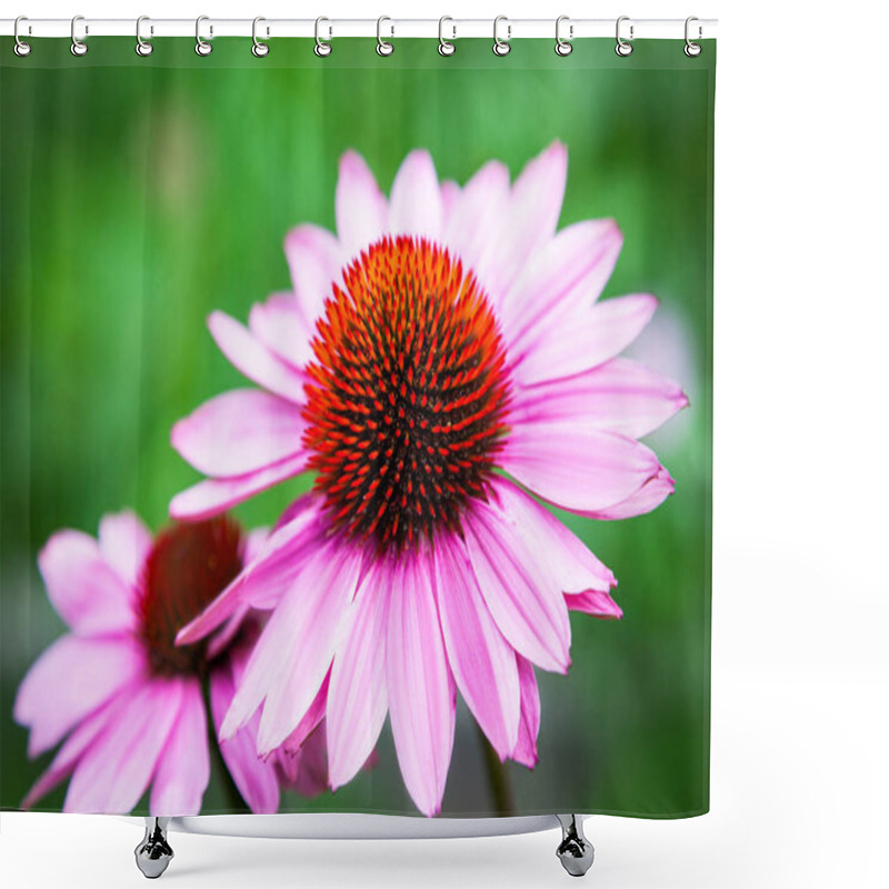 Personality  Close-up Of Two Beautiful Large Echinacea Purpurea Flower, In The Background A Green Garden, Blurred Focus Shower Curtains