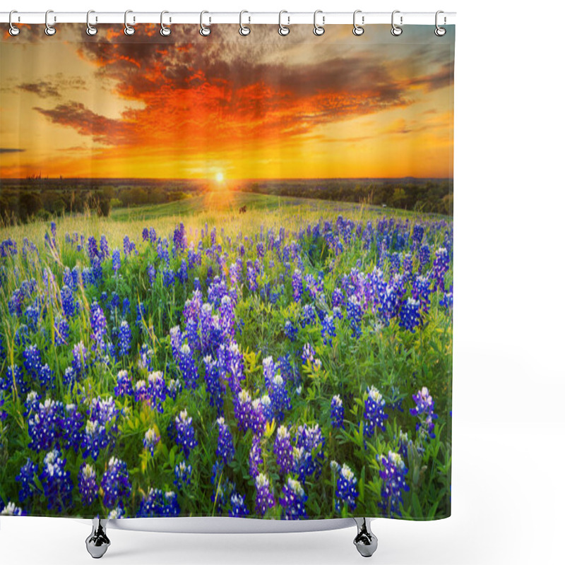 Personality  Texas pasture filled with bluebonnets at sunset shower curtains