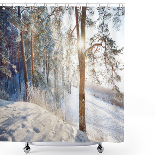 Personality  Winter Forest Scene. Snow-covered Pine Trees, Hills And Walkways. Frozen River In The Background. Sun Rays And Pure Evening Light. Latvia Shower Curtains