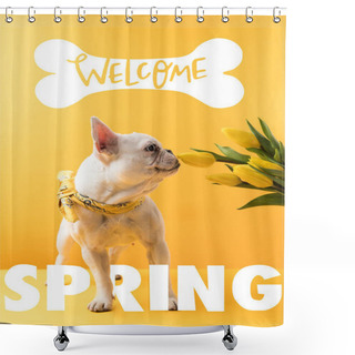 Personality  French Bulldog Dog And Yellow Tulips With WELCOME SPRING Sign Shower Curtains